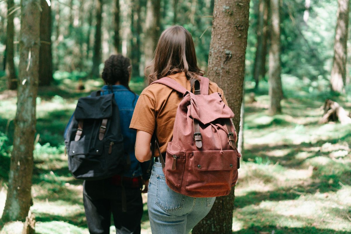 Daypack - outdoor. 600D polyester, padded back panel, two-compartment layout